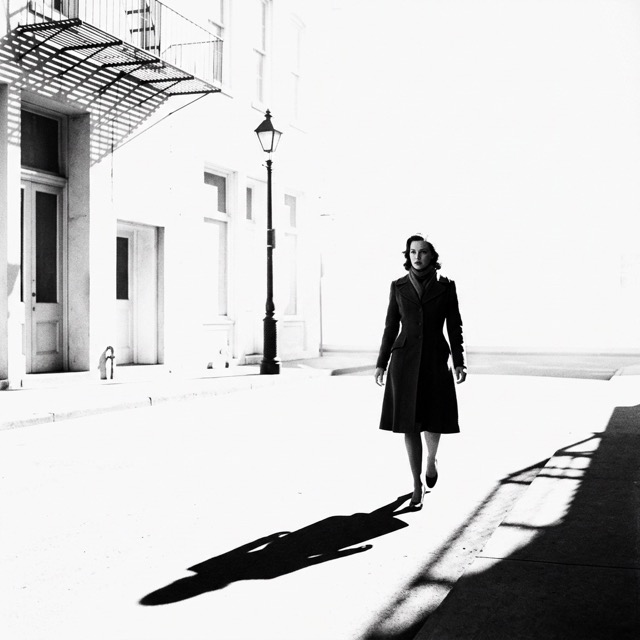 The Noir-Minimalist style rendered with Nano Banana 2.1